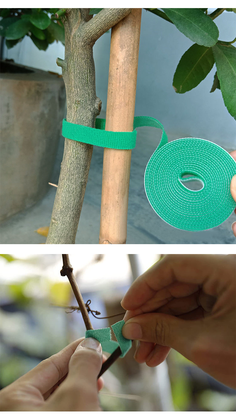 3 rollen Plantenklittenband - 2 m (lang) x 1 cm (breed)- Klittenband voor planten/ voor tuin of huishoudelijke gebruik - DilaTrendshop